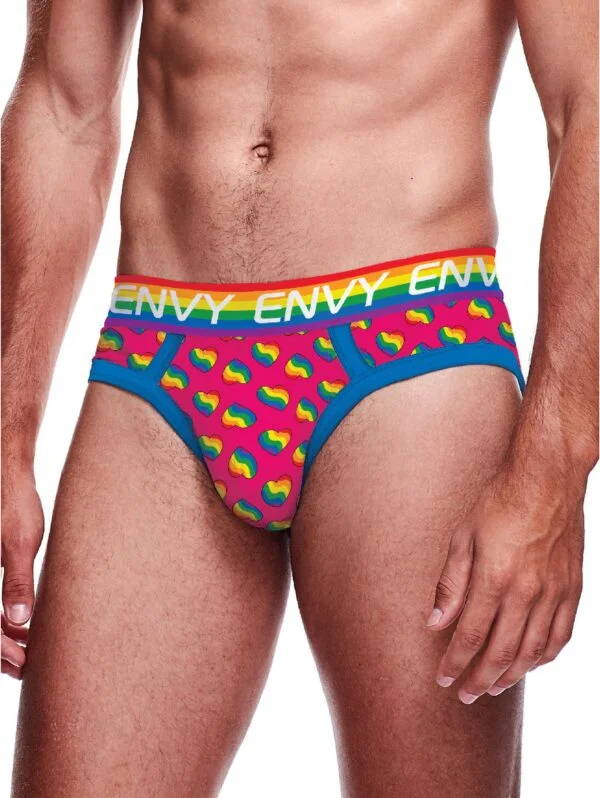Envy Rainbow Heart Print Briefs